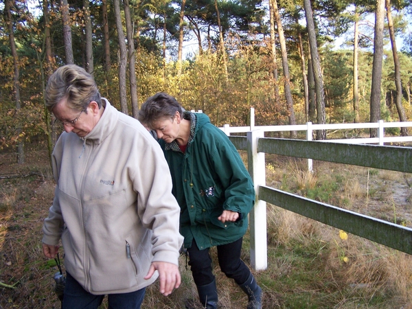 Wandeling Lommel 050