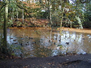 Anti Tank Kanaal Sint Job 2001