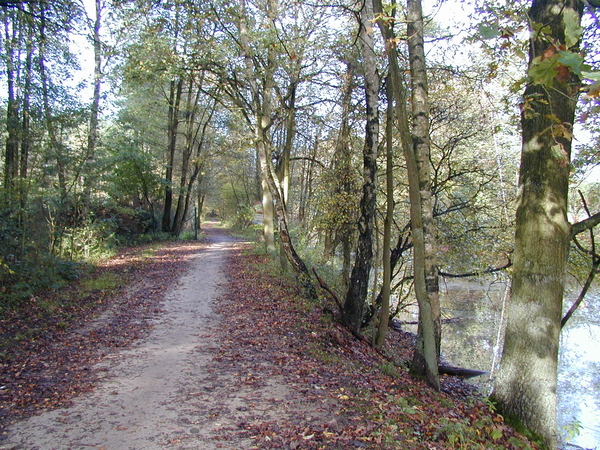 natuur wandelen atk sintjob