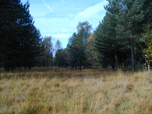 natuur wandelen atk sintjob