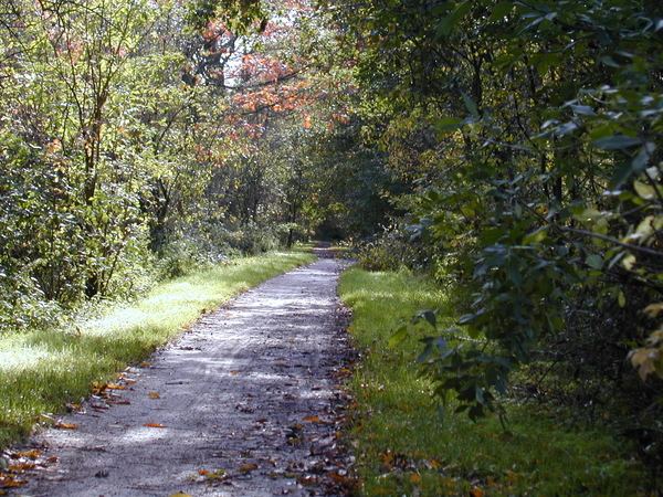 natuur wandelen atk sintjob