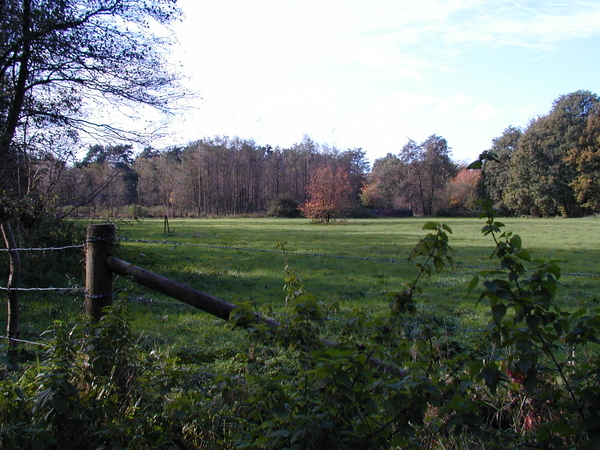 natuur wandelen atk sintjob