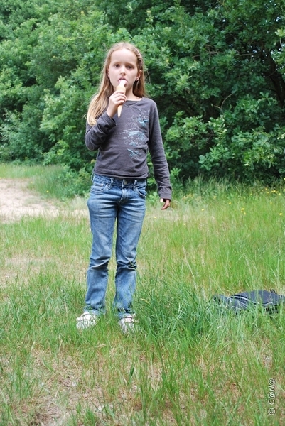 2009-06-17 Konijnenberg Pick-nick (15)