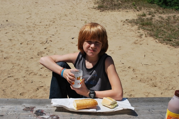 2009-06-17 Konijnenberg Pick-nick (2)