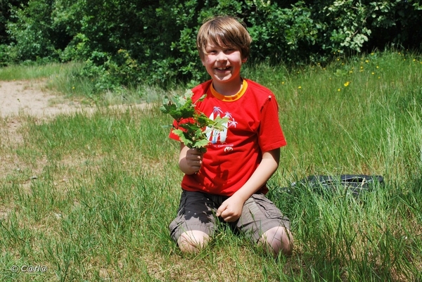 2009-06-17 Konijnenberg Pick-nick (21)