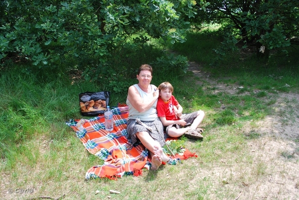 2009-06-17 Konijnenberg Pick-nick (26)