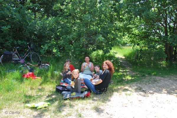 2009-06-17 Konijnenberg Pick-nick (7)