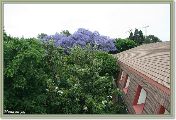 sizedzuid africa 001