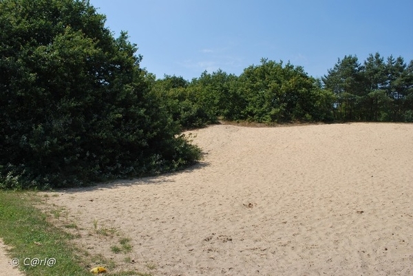 2009-08-06 Konijnenberg AM (13)