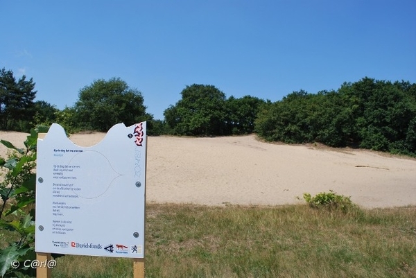 2009-08-06 Konijnenberg AM (14)