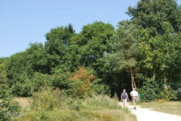 2009-08-06 Konijnenberg AM (17)