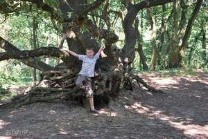 2009-08-06 Konijnenberg AM (25)