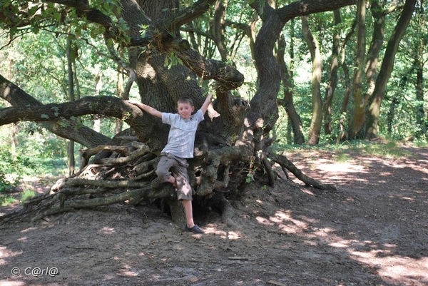 2009-08-06 Konijnenberg AM (25)