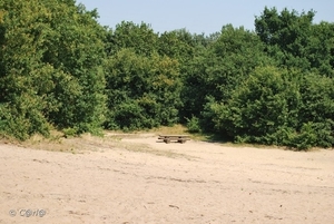 2009-08-06 Konijnenberg AM (48)