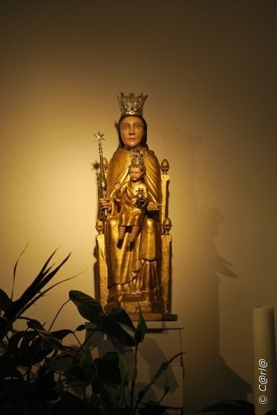 2009-08-06 Konijnenberg AM (62)