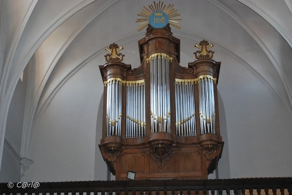 2009-08-06 Konijnenberg AM (63)