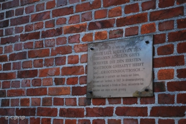 2009-08-06 Konijnenberg AM (64)