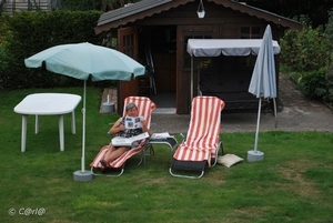 2009-08-06 Konijnenberg AM (67)