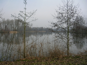 Gavers februari 2009