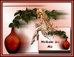 welkom bij nic