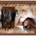 paarden
