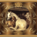 PAARDEN 2