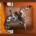 giraffen