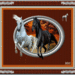 paarden 3