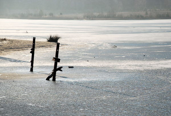 SAHARA 03-01-20092009-01-03_6
