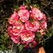 trouwboeket rozen