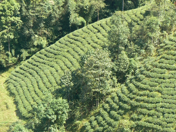Sikkim
