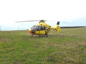 SDC12517