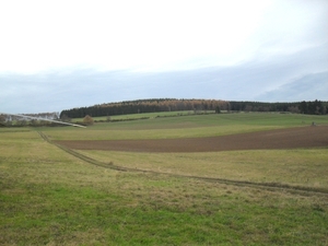 SDC12518