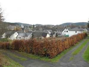 SDC12519