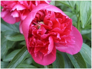Macro Opname - 045