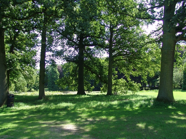 Kasteel - 043