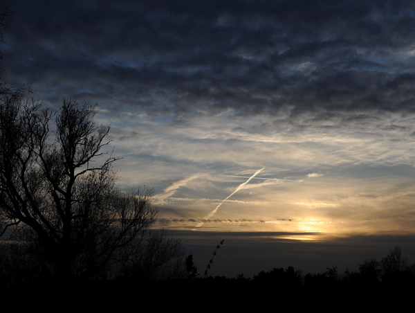 Hageven 21-11-20092009-11-21_6