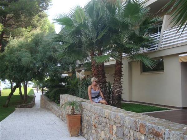 Prachtige palmbomen...