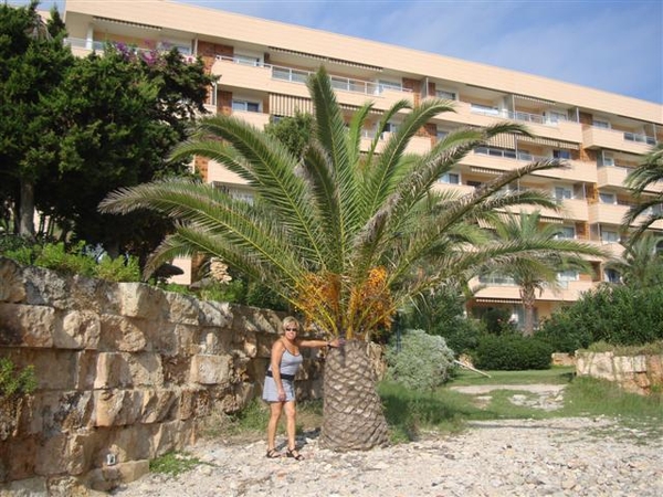 Had ik maar zo'n prachtig exemplaar in mijn eigen tuin staan!!...