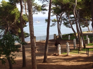 Deze mange is juist aan de kust gelegen....