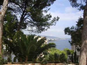 Zicht op zee vanop de straat...