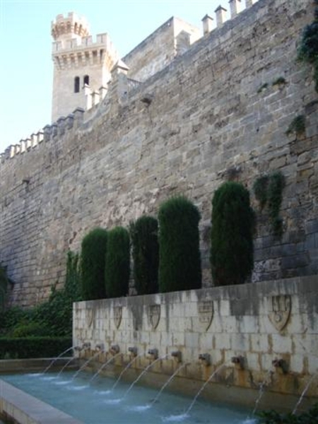Palma...