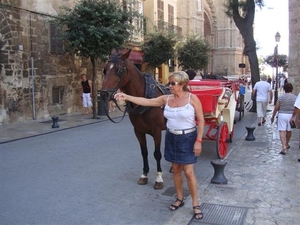 Zin in een ritje met de  koets?...