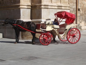 Met dit paard en koets kon je een rondrit maken...