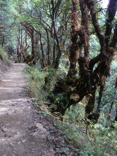 Bhutan