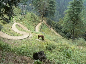 Bhutan