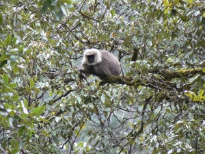 Bhutan