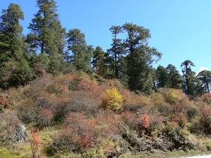 Bhutan