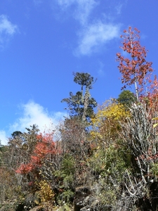 Bhutan