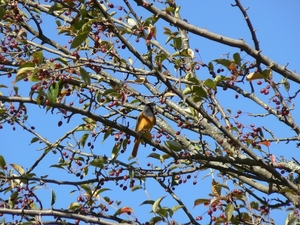 Bhutan